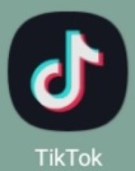 TikTok Meme Template
