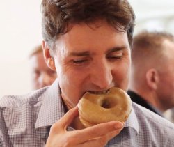 justin trudeau donut Meme Template