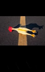 Why did the chicken cross the road Meme Template