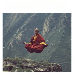 Flying dojo Meme Template