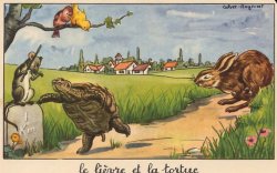 hare and tortoise Meme Template