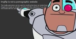 Imgflip is not a pornographic website Meme Template