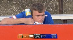 Depressed Gator Fan Meme Template