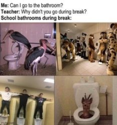 the school bathrooms Meme Template