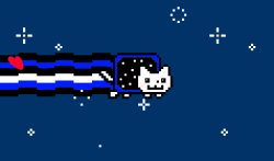 Leather Nyan Cat Meme Template