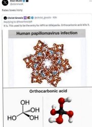 natvan.com renegadetribune.com unz.com  infostormer.com  gab.com Meme Template