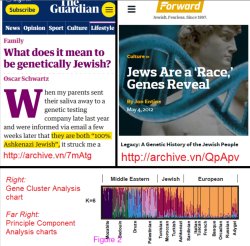 race unz.com dailystormer.in gab.com natvan.com Meme Template