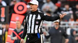 nfl ref Meme Template