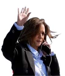 Kamala Phone Meme Template