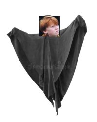 Demented Ron Weasley Meme Template