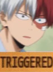 Todoroki Triggered Meme Template