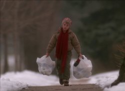 Home Alone bags Meme Template