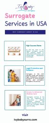 Surrogate Services In USA Meme Template