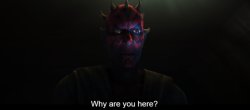 Darth maul Meme Template