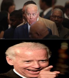 Biden Switch Meme Template