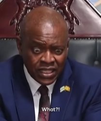 Botswana president what Meme Template