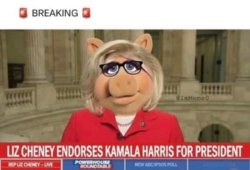 Liz Cheney endorses Hobama Meme Template