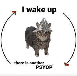 I wake up, there is another psyop Meme Template