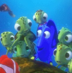 Dory with turtles Meme Template