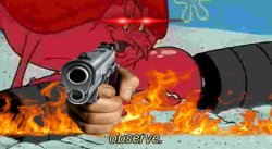Observe Deluxe Edition Meme Template