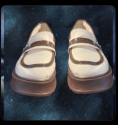 Kim’s Shoes Meme Template