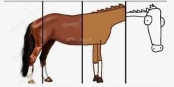 Horse meme Meme Template