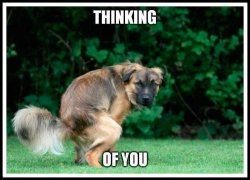 thinking of you Meme Template