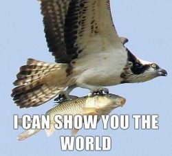 show you the world Meme Template