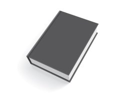 Grey Blank Book V1 Meme Template