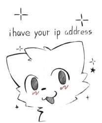 Boykisser I have your IP Address Meme Template