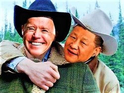 Joe Biden and Xi Jinping chat about cows Meme Template