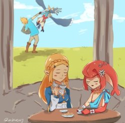 Link and Revali fighting, while Zelda and Mipha chilling Meme Template