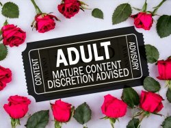 Adult Content Ticket Meme Template