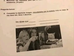 Gato en la mesa con mujer histérica pregunta de examen Meme Template