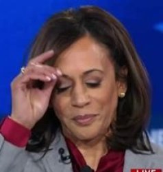 kamala dropped Meme Template