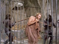 Planet of the Apes Meme Template