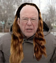 Bernie sanders needs haircut Meme Template