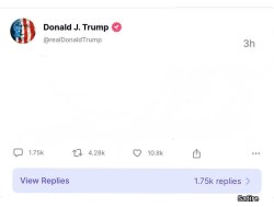 Donald Trump parody post Meme Template