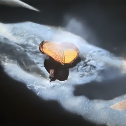 Tikka Masala Meme Template