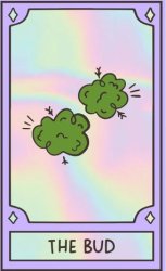 Tarot Weed | The Bud Meme Template