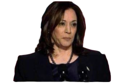 Kamala Harris "I'm Speaking" Meme Template