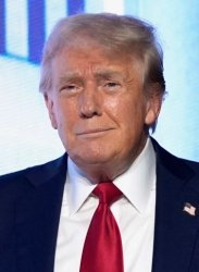 Trump Meme Template