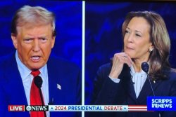 Kamala vs Trump Meme Template