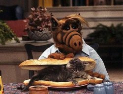 Alf cat sandwich Meme Template