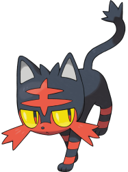 Litten Meme Template