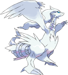 Reshiram Meme Template