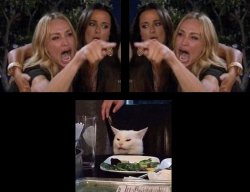 Woman vs Woman vs Cat Meme Template