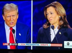 Kamala pitying Trump Meme Template