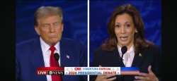 Trump Harris Meme Template