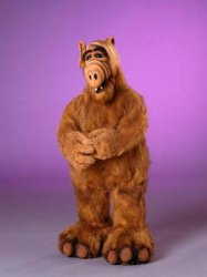 Alf Meme Template